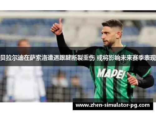 贝拉尔迪在萨索洛遭遇跟腱断裂重伤 或将影响未来赛季表现 贝拉尔迪在萨索洛遭遇跟腱断裂重伤 或将影响未来赛季表现