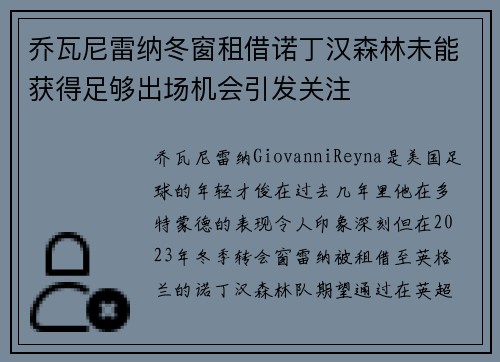 乔瓦尼雷纳冬窗租借诺丁汉森林未能获得足够出场机会引发关注 乔瓦尼雷纳冬窗租借诺丁汉森林未能获得足够出场机会引发关注